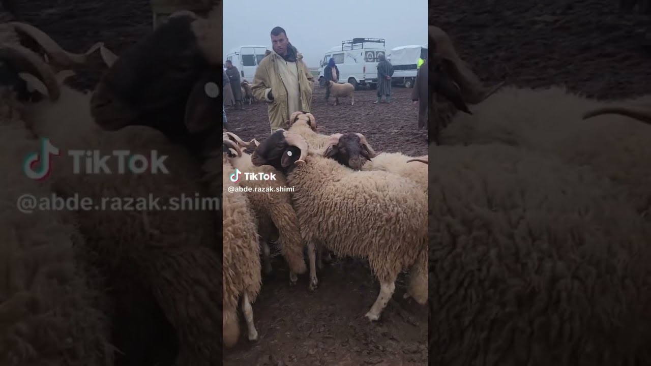 ا فينك اللي تتسبني فالكموتيرات 😂😂