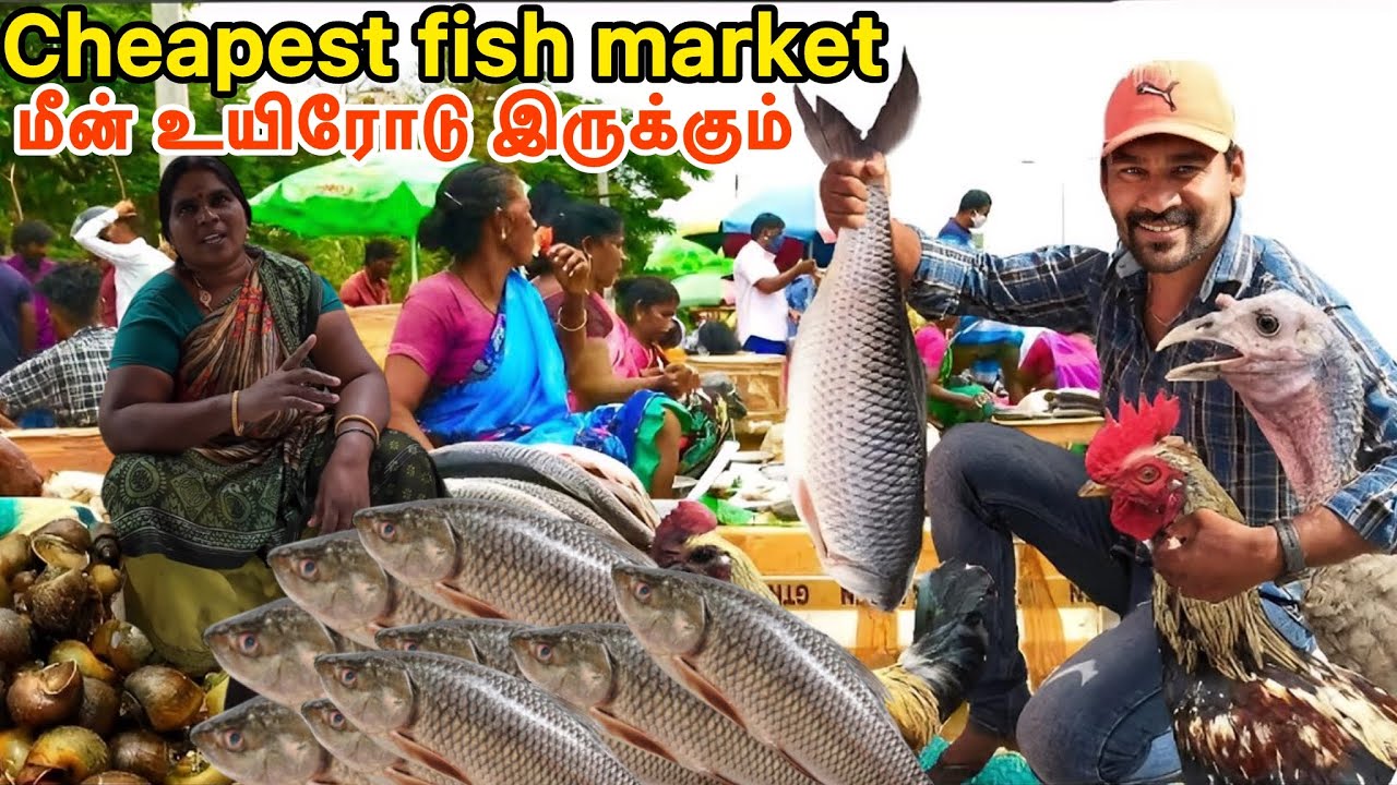 CHENNAI FISH MARKET | porur mugalivakkam fish market | fish market