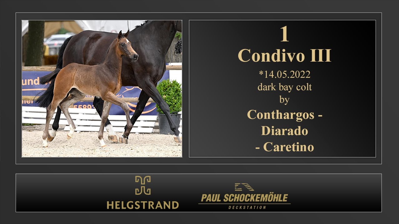 1 Condivo III by Conthargos - Diarado