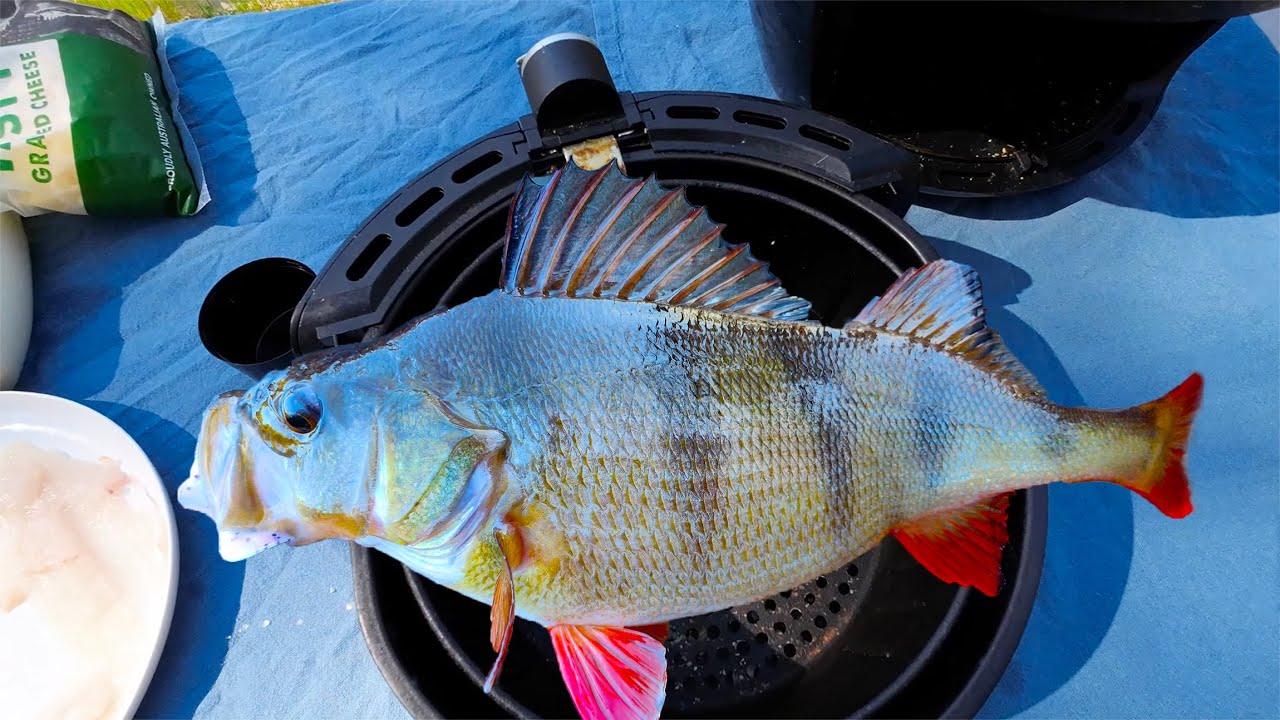 Air Fried Redfin, Cooking Perch In An Air Fryer. Catch And Cook.