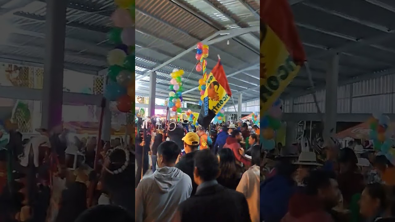 CARNAVAL TINCONTLAN 2023  pollo sin sal ...