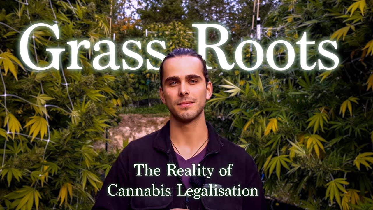 Grass Roots - The Reality of Cannabis Legalisation