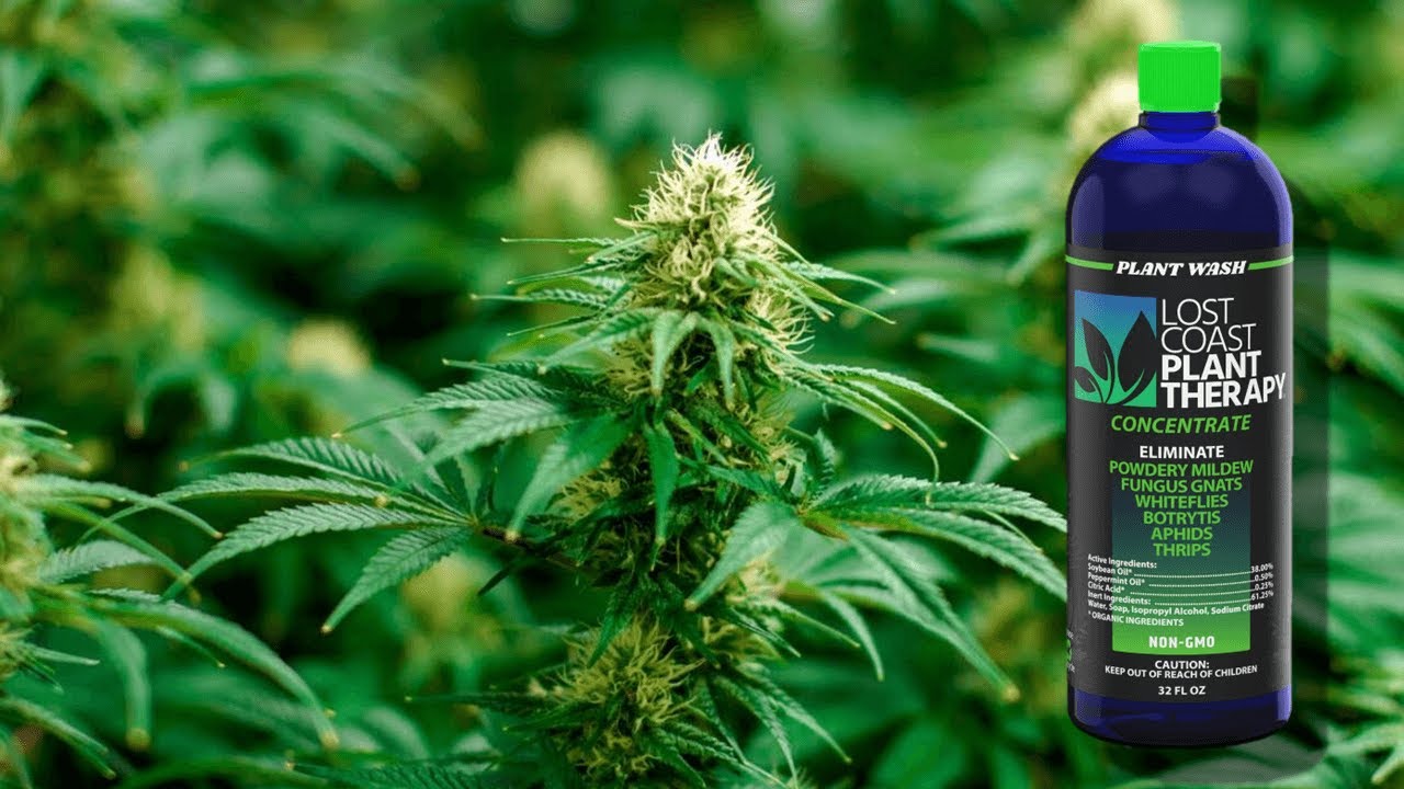 Lost Coast Plant Therapy - The Ultimate Grow Room Game-Changer