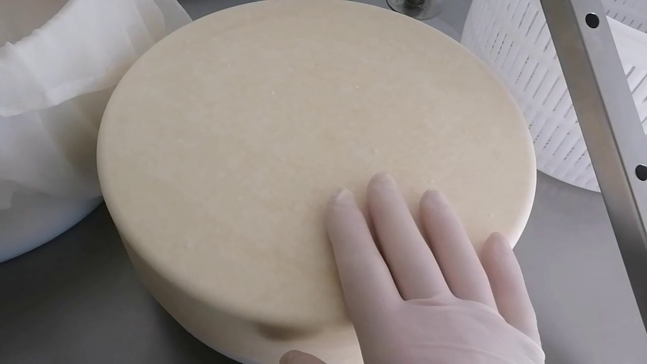 мой Итальянец🤩 по технологии сыра PECORINO
