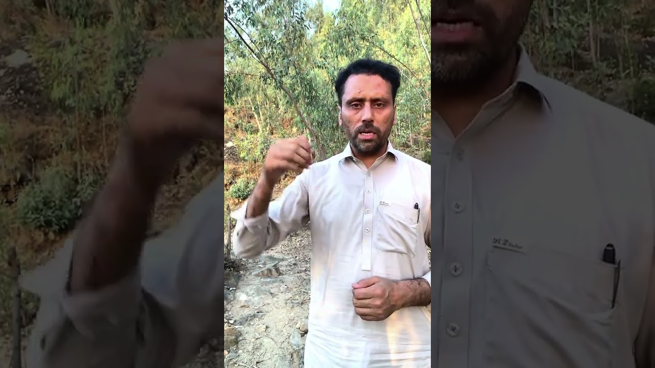 Pashtoon Qoom parast awr operations #news #stitch #booktok #duet #pti