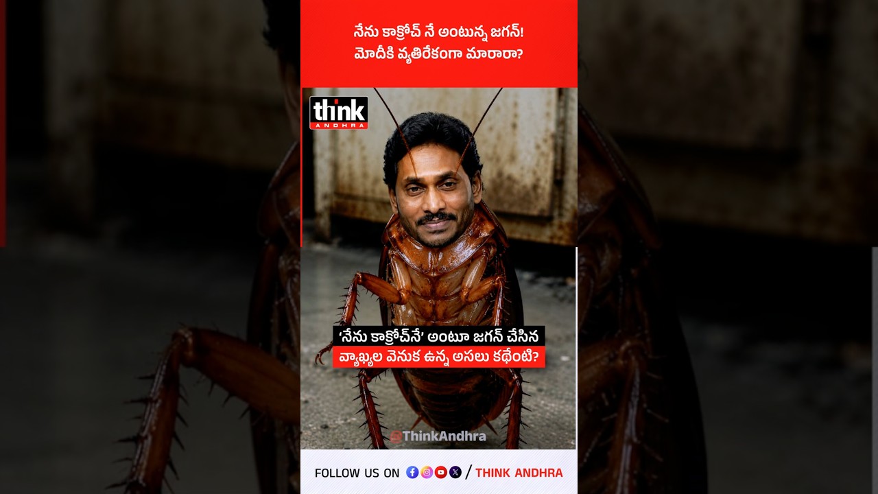 నేను కాక్రోచ్ నే అంటున్న జగన్! మోదీకి వ్యతిరేకంగా మారారా? #YSJagan #CockroachJanataParty #pmmodi