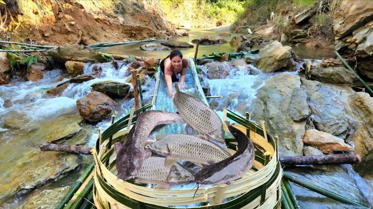 The girl who made a bamboo fish trap using ancient methods caught a large haul of fish.