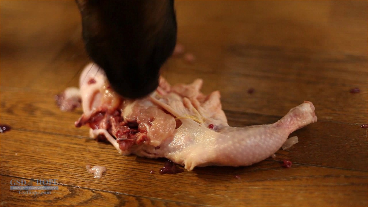 犬手作りご飯【生肉】鶏肉丸ごと1羽でお祝い