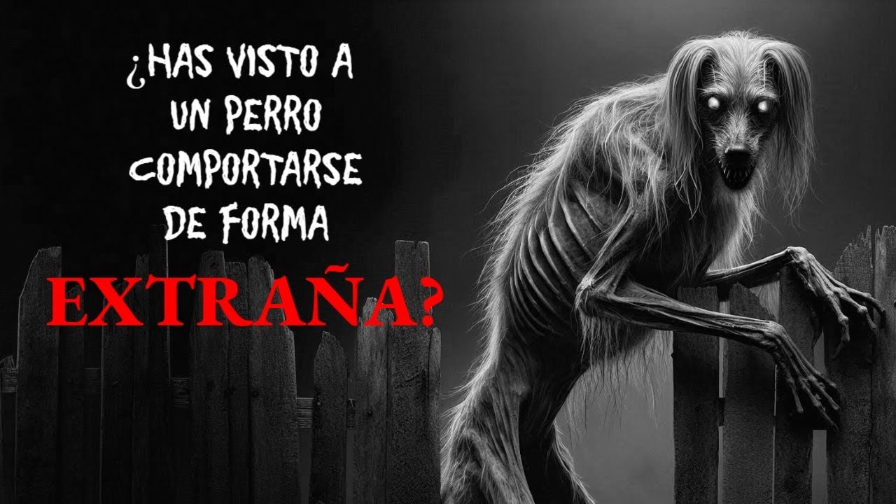 3 VETERINARIOS COMPARTEN ATERRADORES RELATOS PARANORMALES REALES | Relatos de Terror Reales | #284