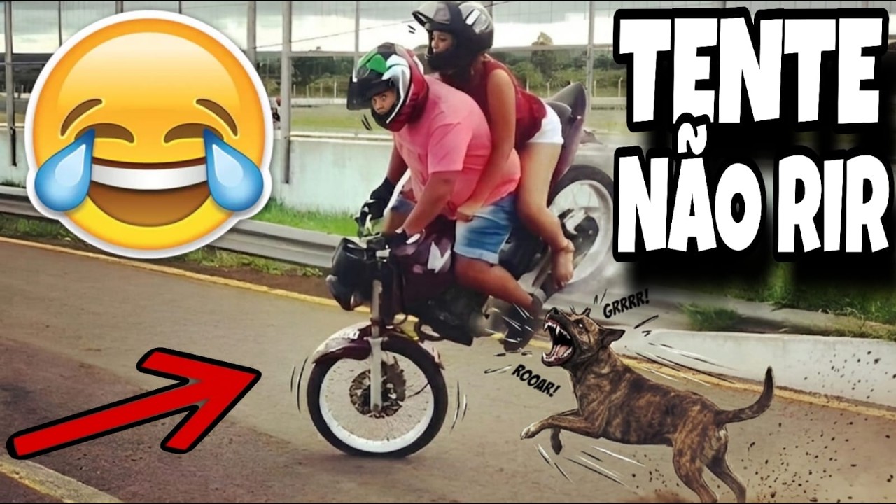 TENTE N&Atilde;O RIR: V&Iacute;DEOS ENGRA&Ccedil;ADOS 2026 E MEMES - #1