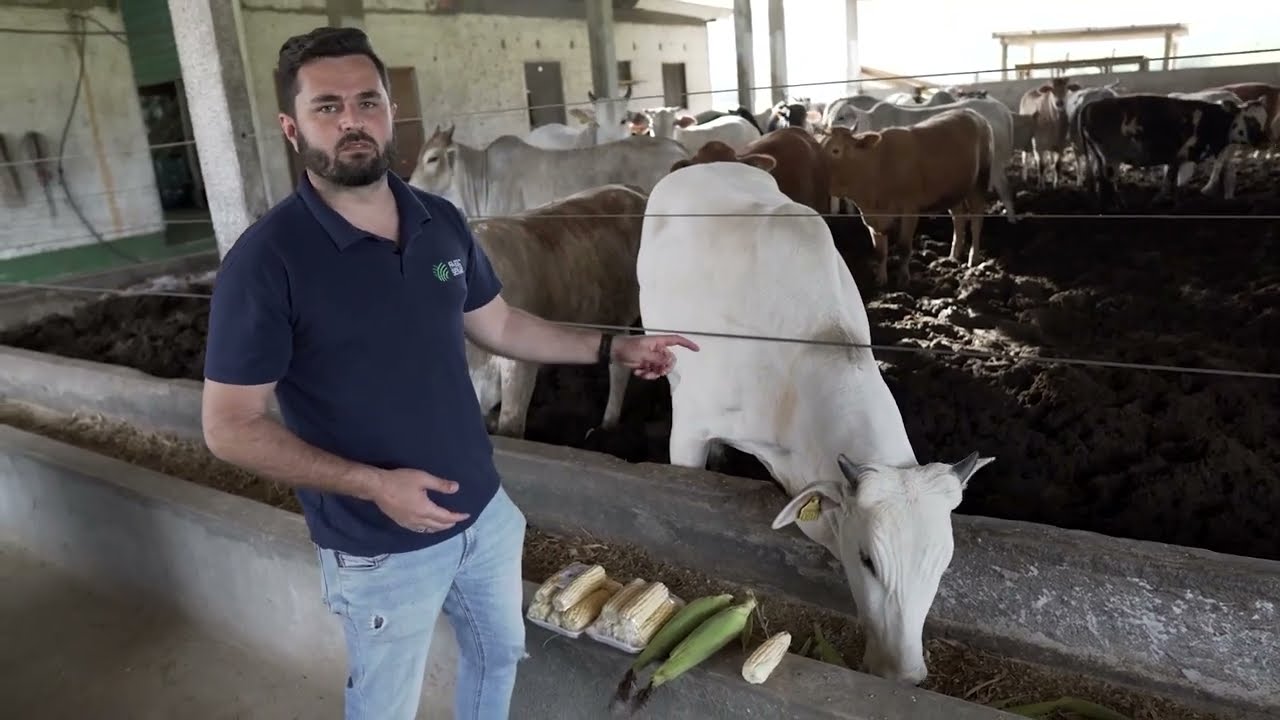Planejamento e Gestão da Propriedade Rural