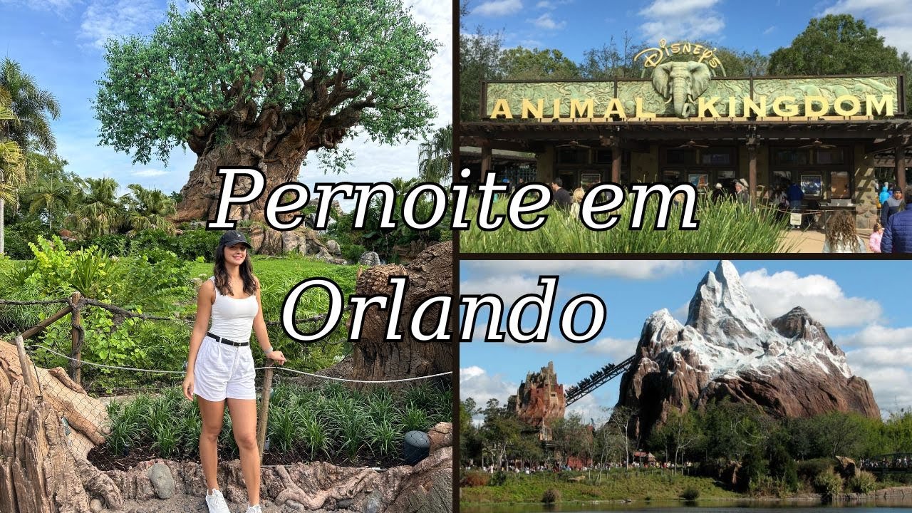 Pernoite em Orlando, na Fl&oacute;rida | Rotina de voo | Comiss&aacute;ria de bordo Emirates