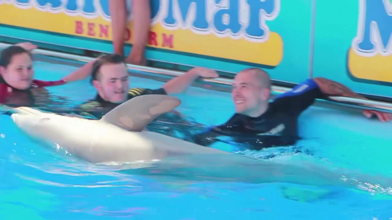 Dolphin Encounter- Mundomar