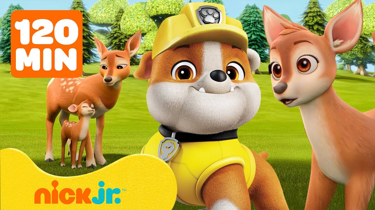 Rubble pomaga zwierzakom w Zatoce Budowniczych! Razem z Mix, Charger i Wheelerem | Nick Jr.