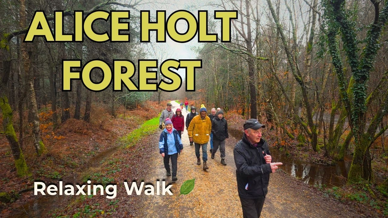 Exploring Alice Holt Forest | Peaceful Woodland Walk in Hampshire