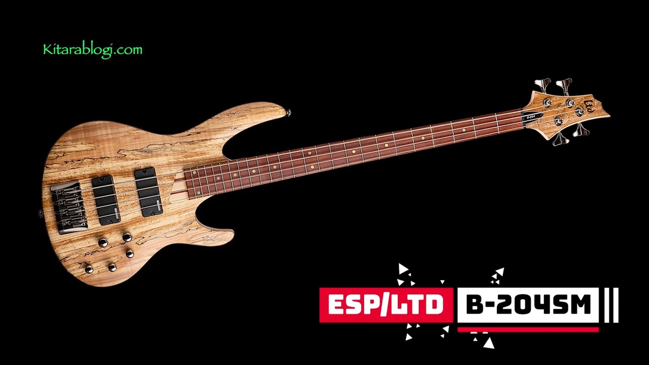 ESP/LTD B-204SM ### Demo Song ### Rockway-preview
