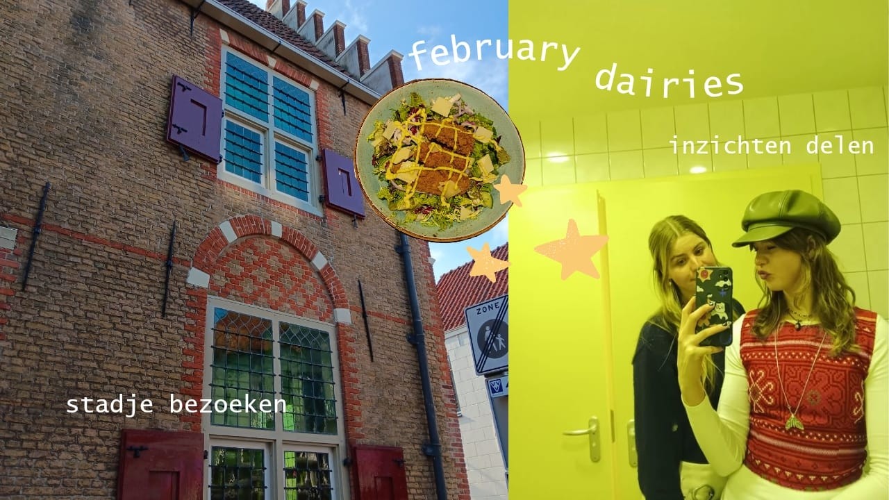 february diaries ⭐️ deel ik mijn inzichten & stadje bezoeken