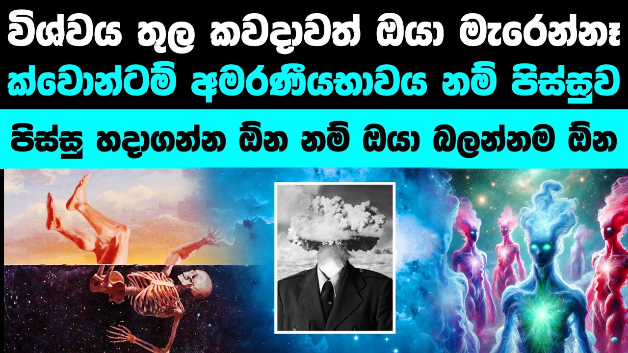 හිතන්න හිතන්න පිස්සු හැදෙන ක්වොන්ටම් අමරණීයබව | Quantum Immortality