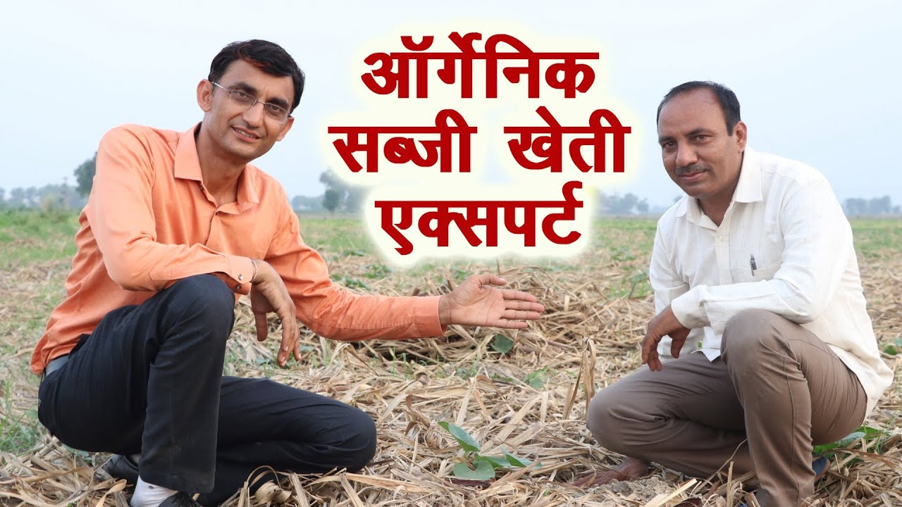 मल्चिंग से ऑर्गेनिक सब्जियां उगाने का गजब तरीका, पैदावार ज्यादा, खर्चा कम Organic Vegetables Farming