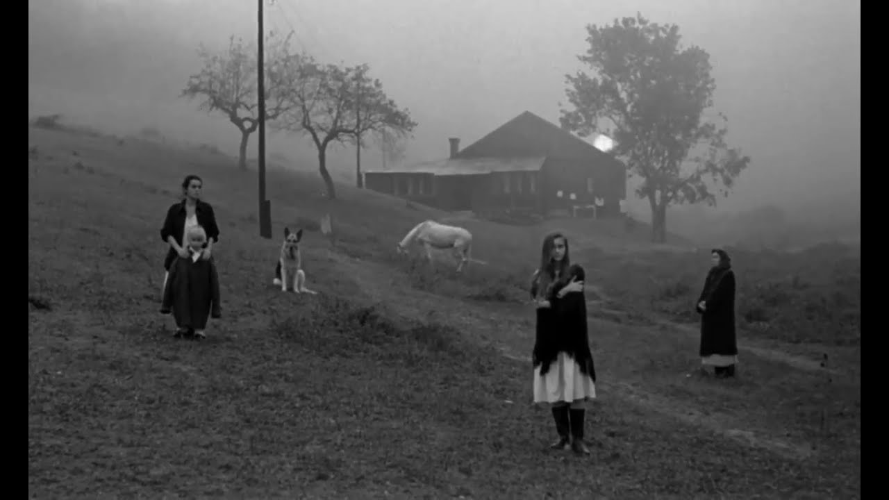 Waiting For The Sun (scenes from Nostalghia, A. Tarkovsky, 1983)