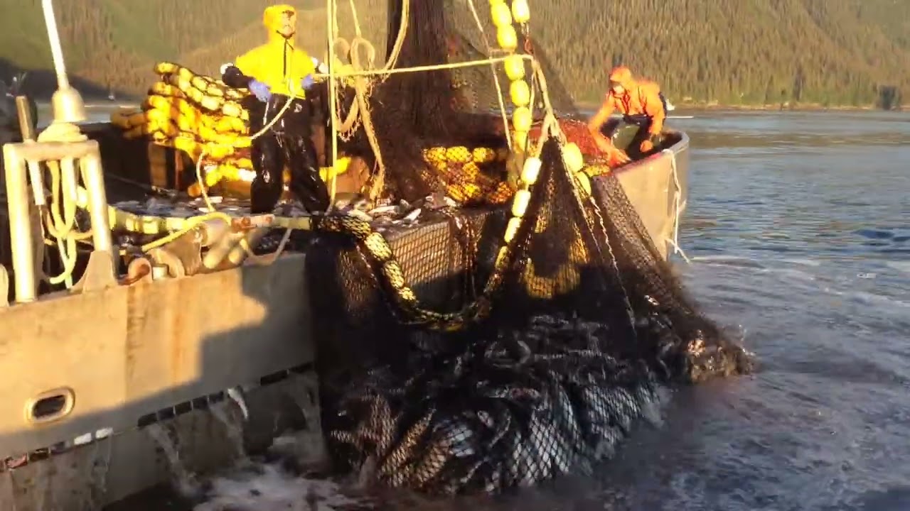 Commercial fishing in Alaska skiff man perspective