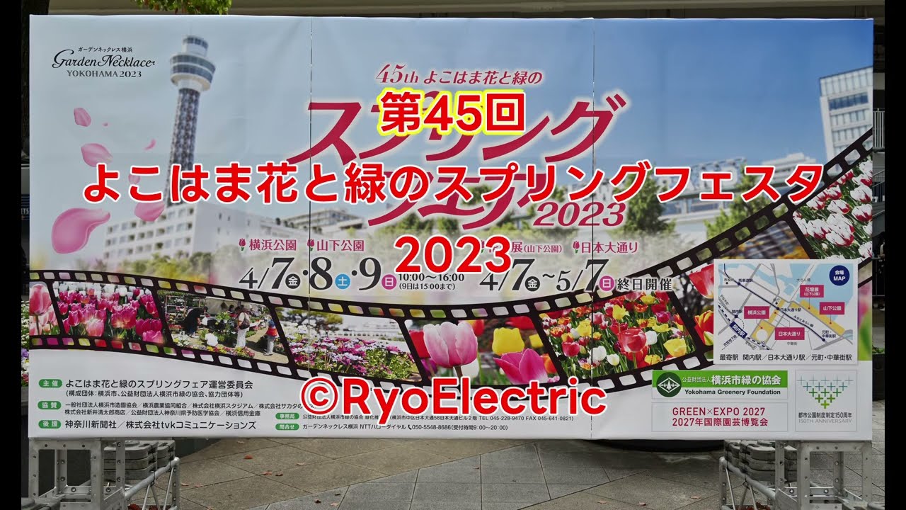 よこはま花と緑のスプリングフェア2023とくりはま花の国のネモフィラ