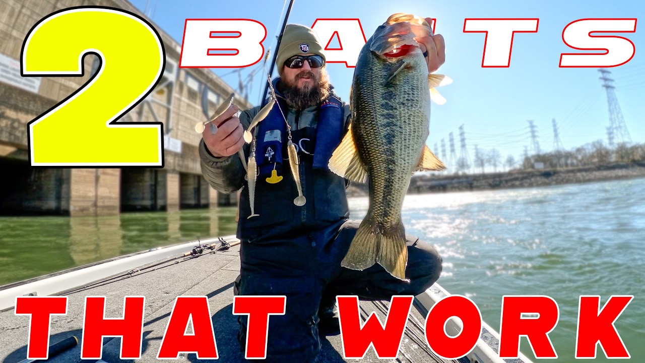 Two Baits That Catch February Bass! (During Tough Conditions)