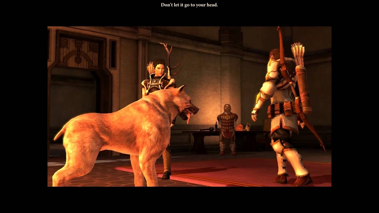 Dragon Age 2; Dog Scenes