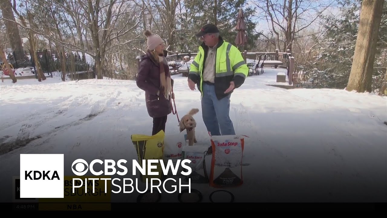 Which salt should you use to melt ice and snow? Expert shares advice