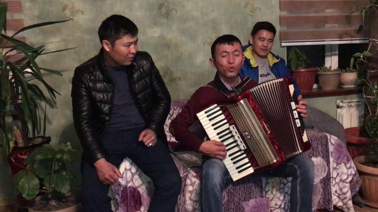 Тынчтык аккордеон (Свадьба Табылды&Нурзат) 2017
