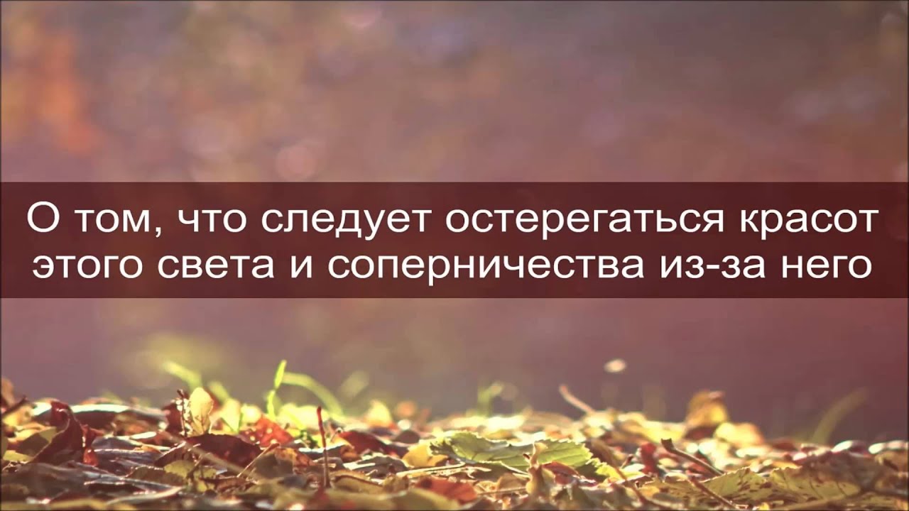 7. Ринат Абу Мухаммад: О том, что следует остерегаться красот этого света и соперничества из-за него