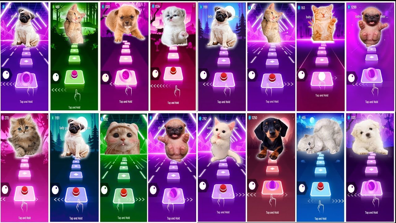 ALL CUTEST CATS AND DOGS - WEDNESDAY -WAKAWAKA- BABY SHARK - BLACKPINK |TILES HOP EDM RUSH