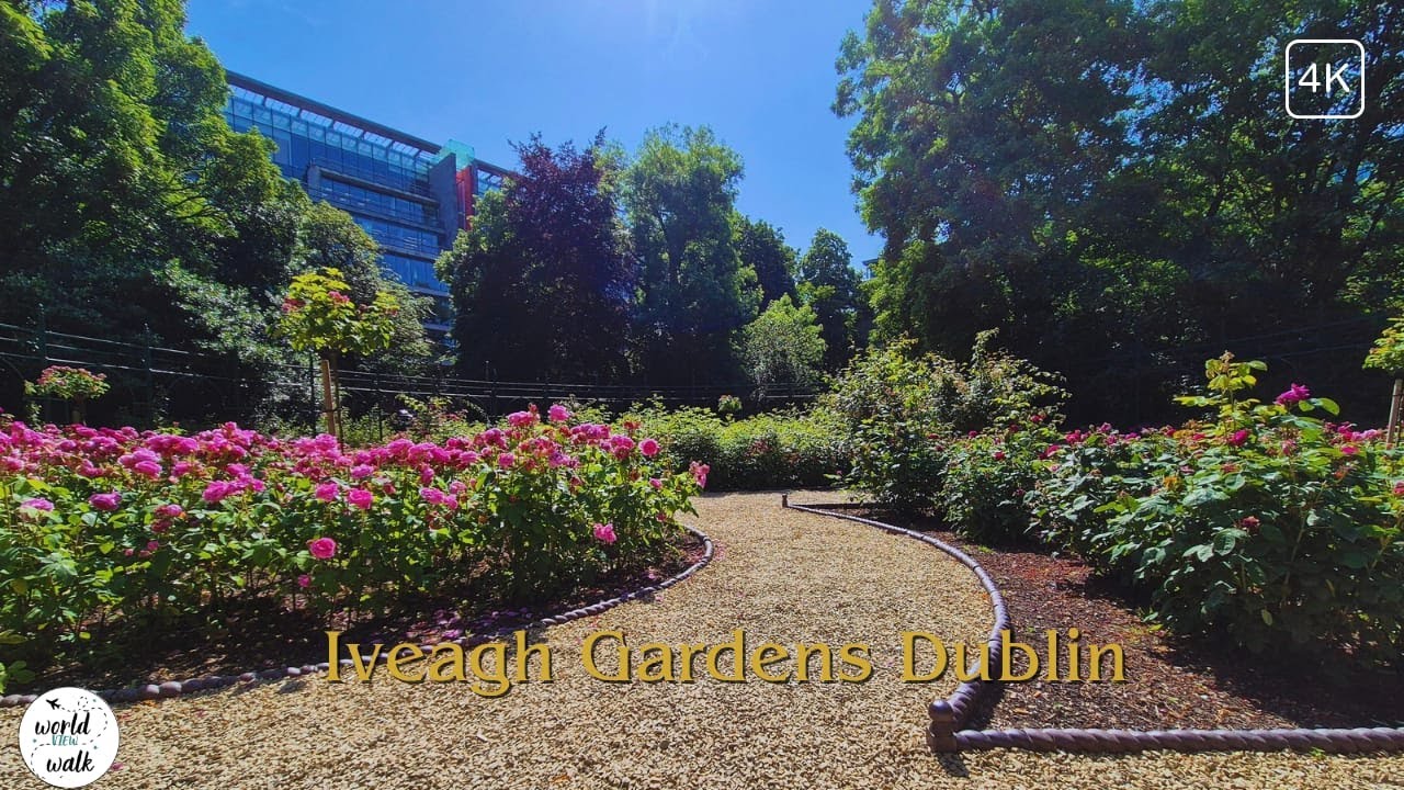 Dublin summer walking tour - Iveagh Gardens - 4K 60 FPS - (2024)