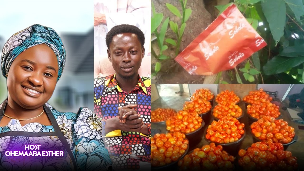 THEIR LANDS WERE GREATER, YET MY HARVEST WAS MORE ABUNDANT(VOG) #stephenadomkyeiduah