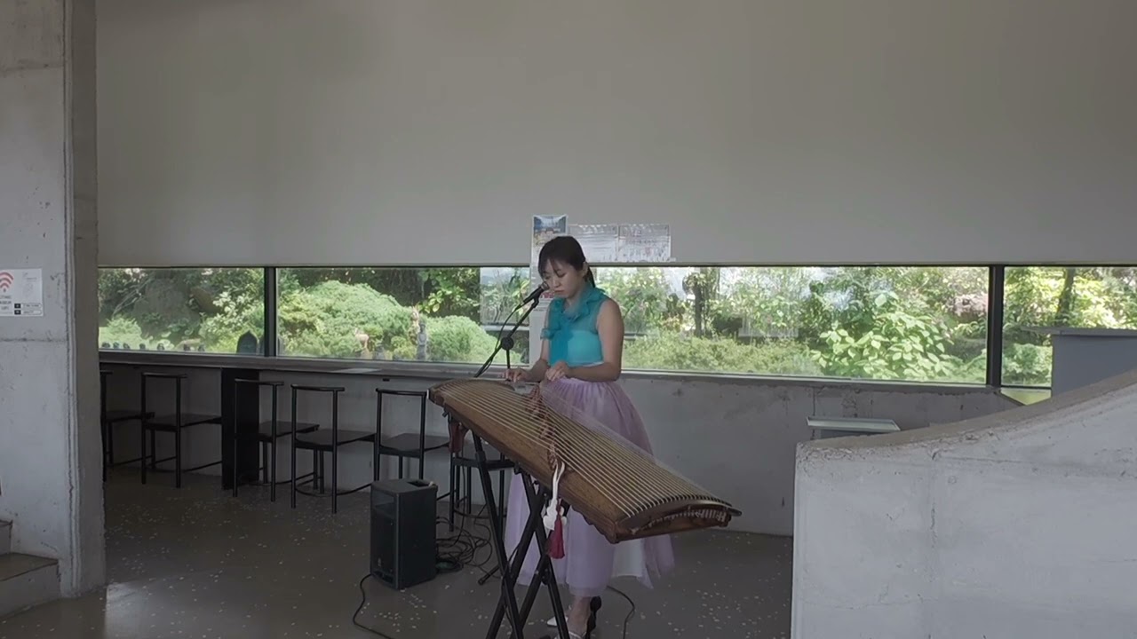 [가야금 박현정]  White shadow - Hyunjeong Park Gayageum | 11.07.2024 | Jinhae Botanic museum  진해 보타닉 뮤지엄