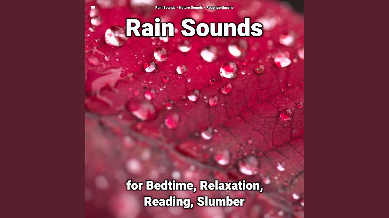 Rain to Study To