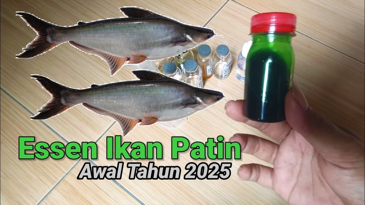 Resep Rahasia Essen Ikan Patin Jitu di Awal Tahun 2025!!!