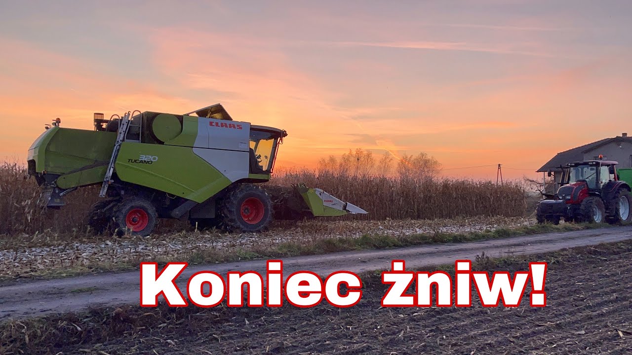 #417- Claas Tucano 320 w kukurydzy! Dożynki 2020!