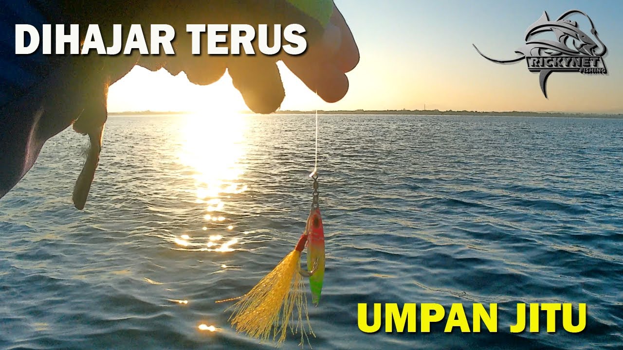 DI HAJAR TERUS BERTUBI-TUBI | UMPAN INI BIKIN KETAGIHAN | MICRO JIG | ULTRALIGHT