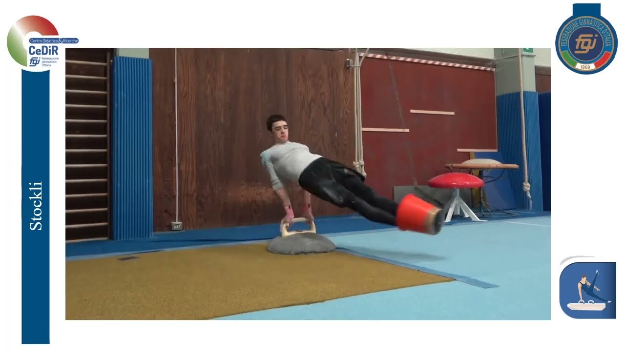 CeDiR - Formazione Quadri Tecnici FGI - Cavallo con maniglie - 