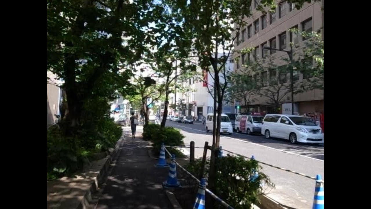 2010 上り中央線 銀座へ 東京駅 新宿夜へ 201系 100601-LCNE