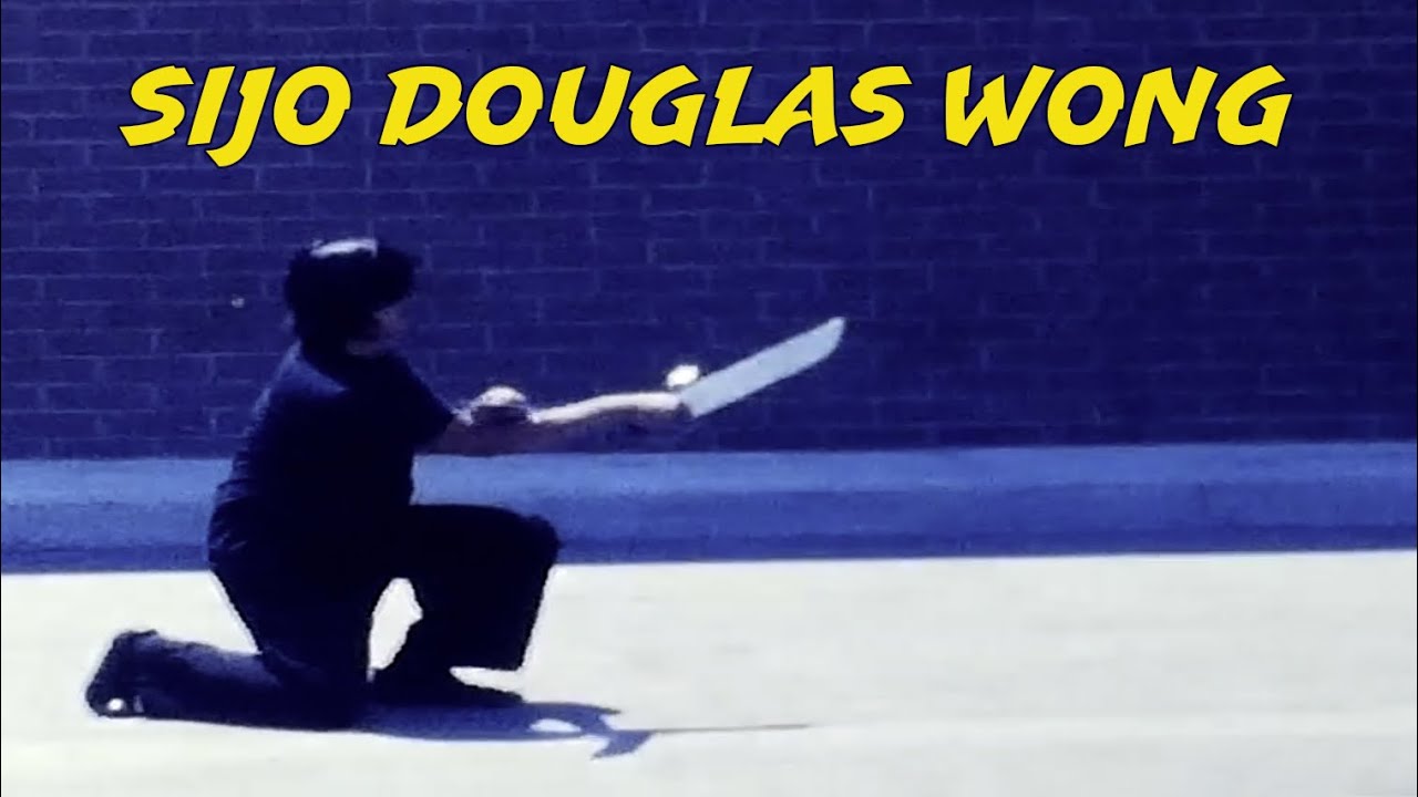 Sijo Douglas Wong - Double Butterfly Sword