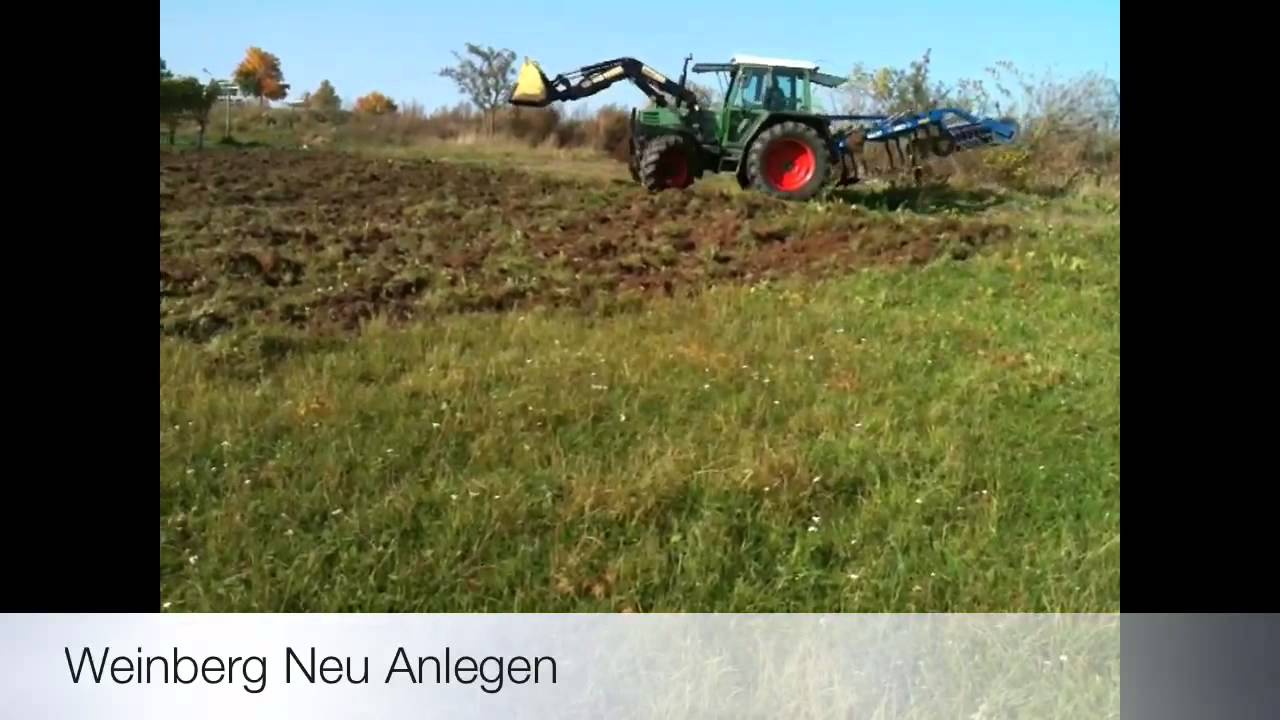 Weinberg Neu Anlegen Grasnarbe umbrechen mit Fendt 308 LSA