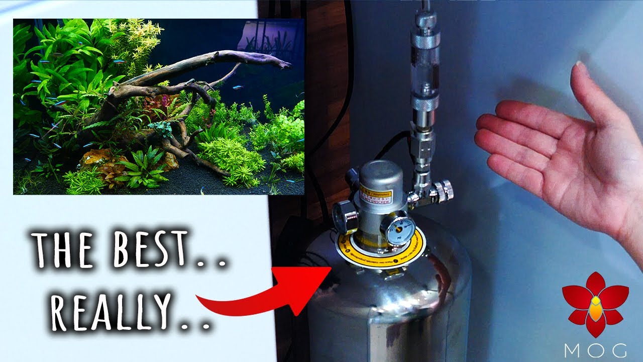 Best aquarium CO2 system I ever used! 🤷🏻‍♀️ - Refilling baking soda & citric acid CO2 system EASY!