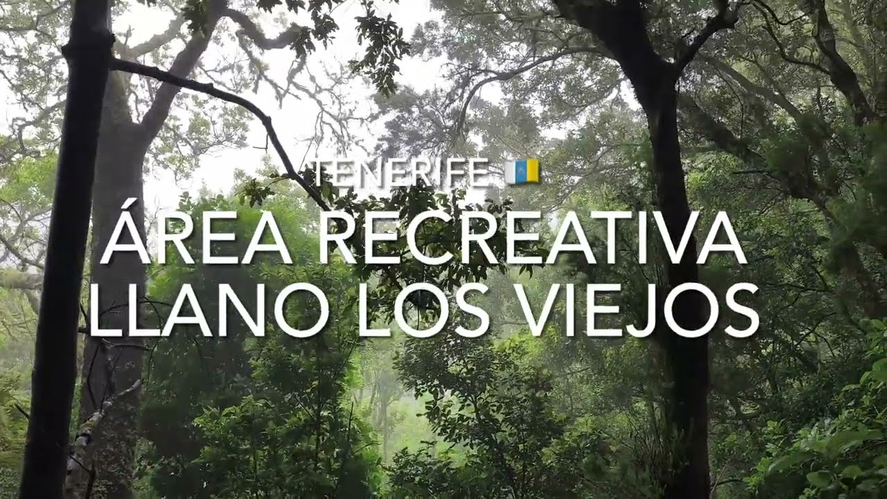 &Aacute;rea Recreativa Llano Los Viejos, Tenerife (4K)