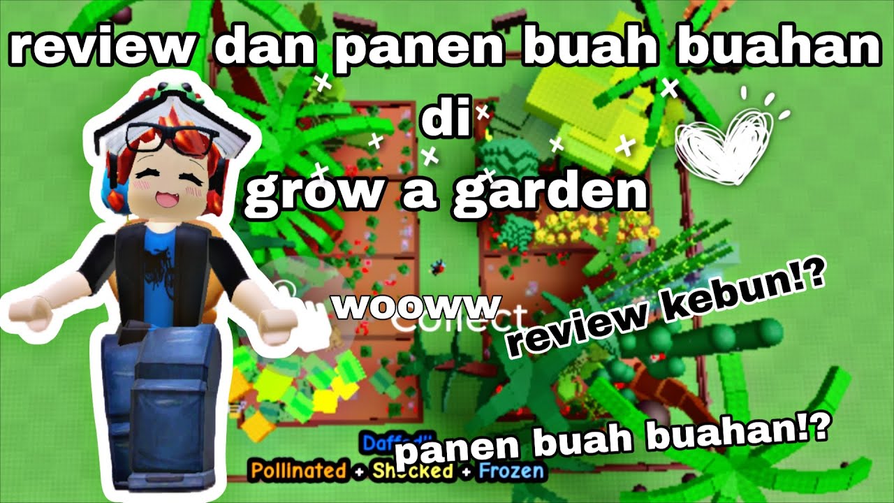 REVIEW KEBUN DAN PANEN KEBUN DI GROW A GARDEN!? |roblox Indonesia