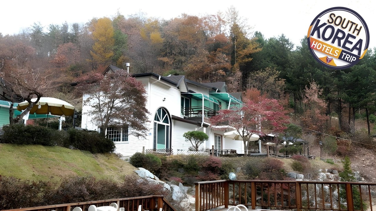 Pinearoma Pension | Hongcheon-gun, South Korea | Hotel Review 🌟