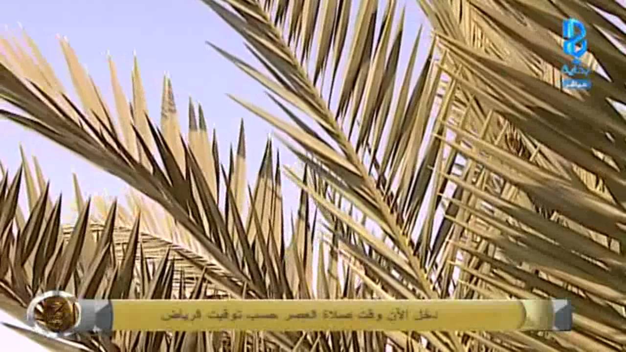 آذان العصر ـ معاذ الجماز   | #زد_رصيدك23