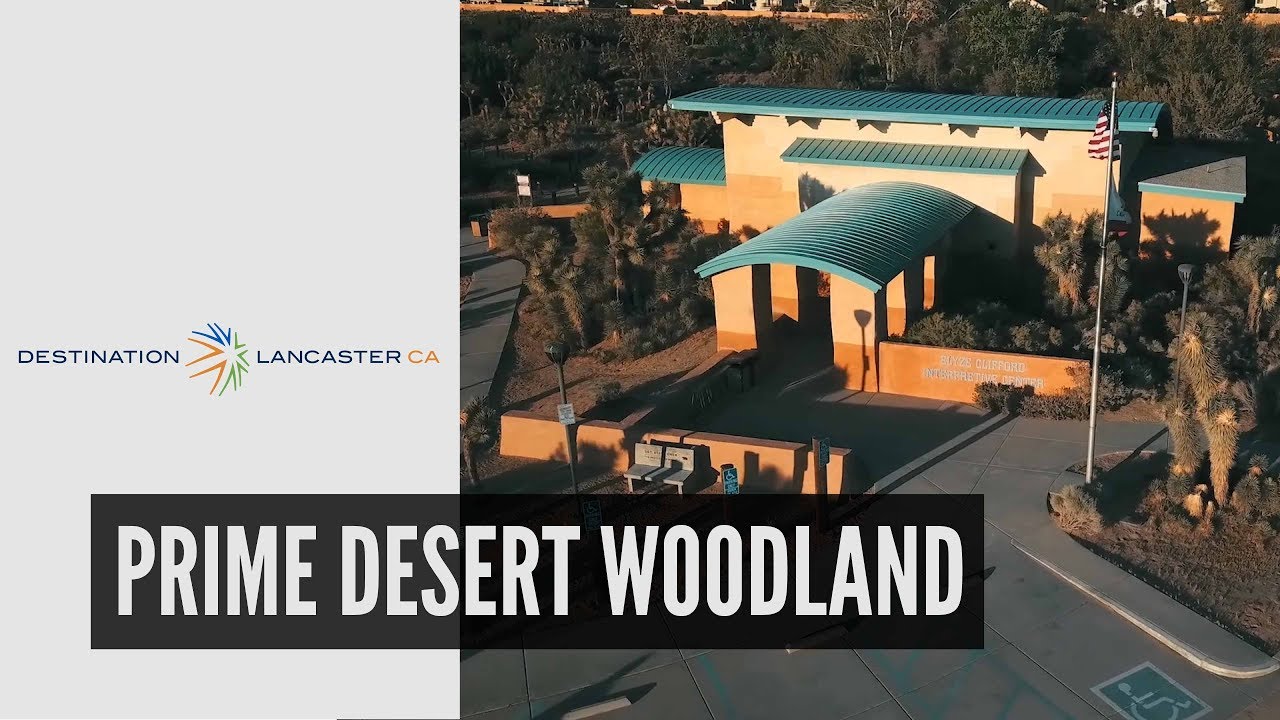 Prime Desert Woodland Preserve | Destination Lancaster