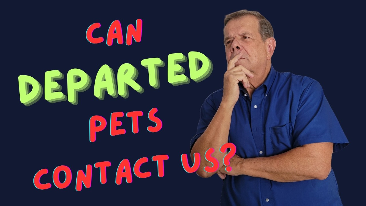 Can Pets visit us from after life.